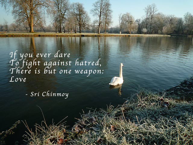 quotes about hate. Quotes by Sri Chinmoy. hate