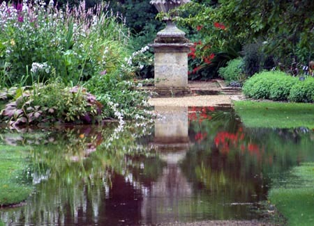 flooded-garden.jpg