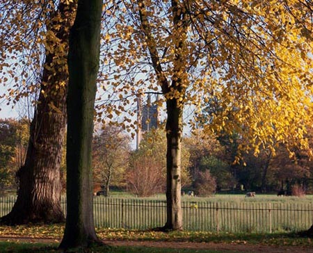 Christ Church meadow