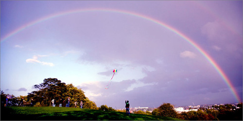 kite-flying-on-primrose-hil