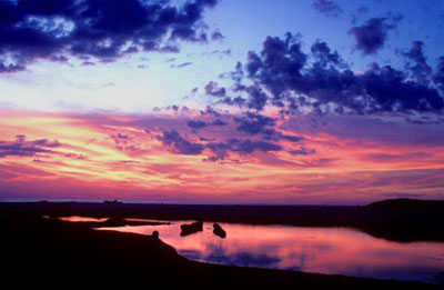 sunset-with-driftwood