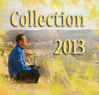 collection-2013