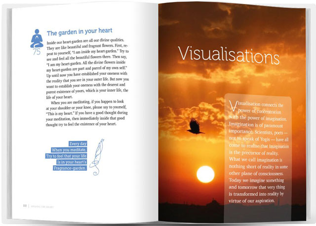 visualisations